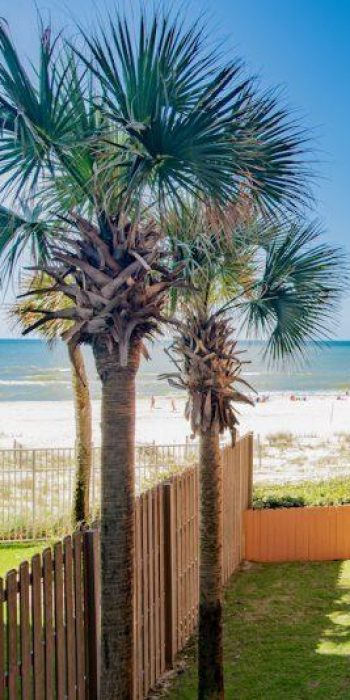 alabama rental condo orange beach